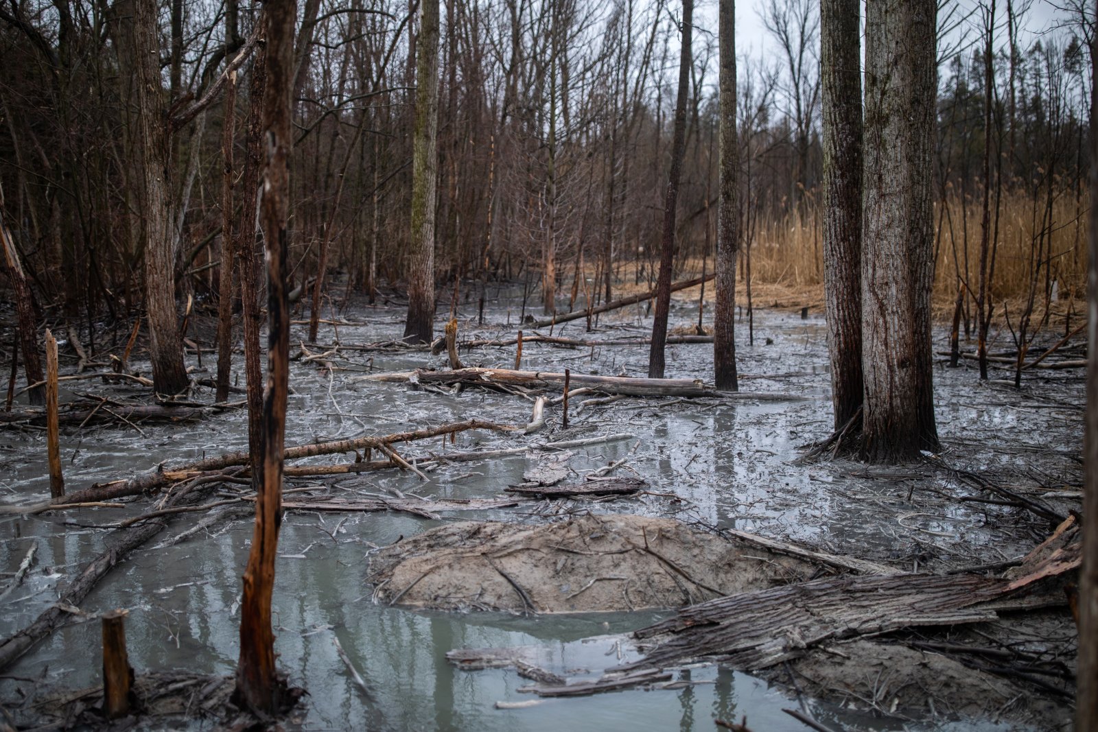 An old well in Norfolk County has been spewing water and pollutants for several years, creating what one resident called "our own Chernobyl." File photo by Nick Iwanyshyn.