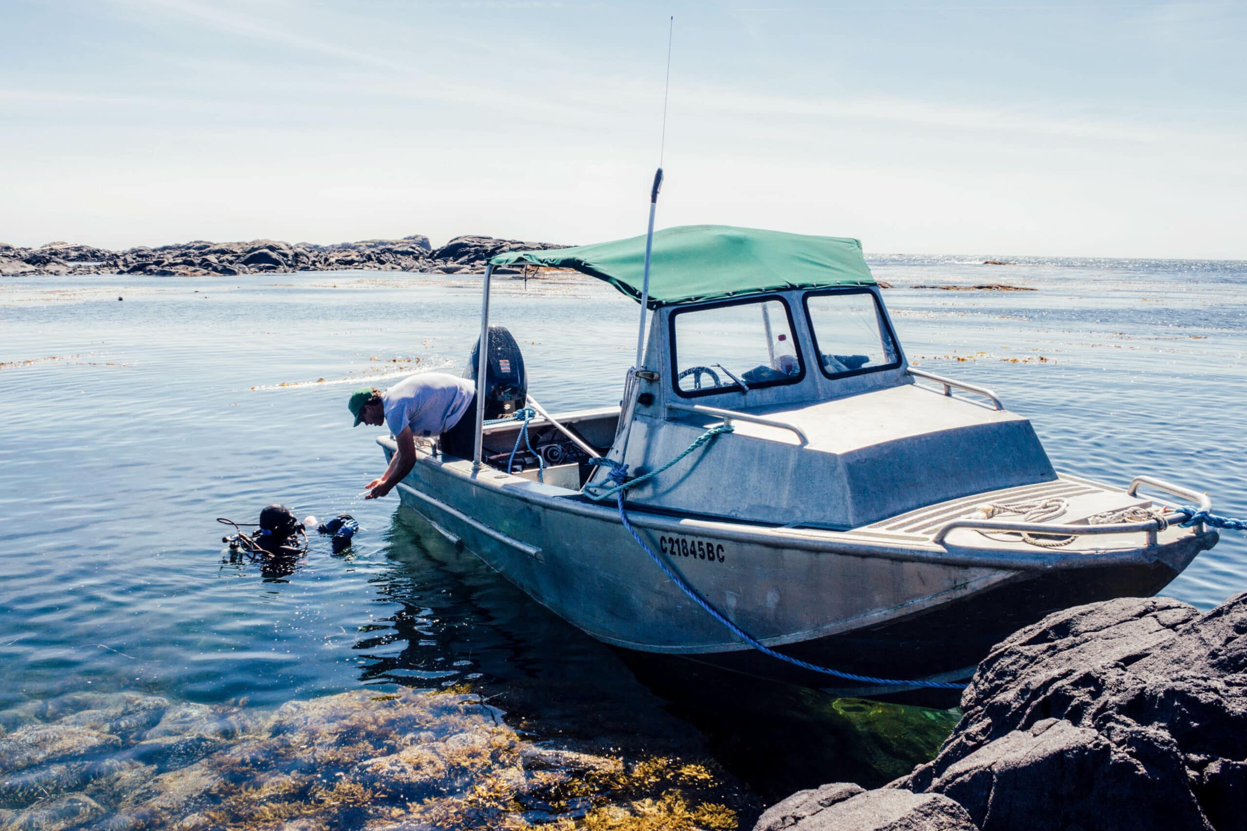 Two Pacific Wild workers working in the field installing camera equipment. Photo: Peter Thicke.