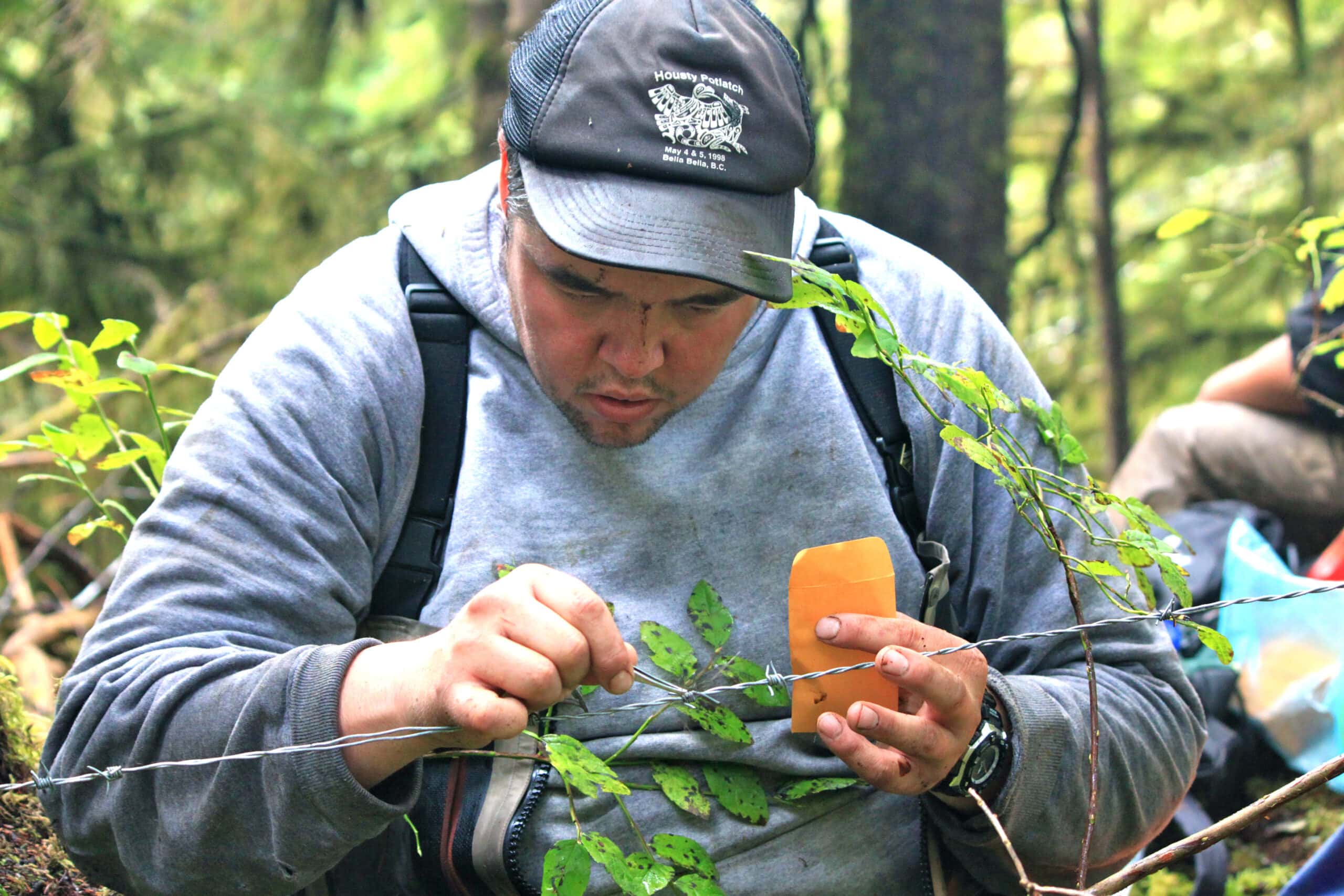 William Housty, conservation manager for Heiltsuk Integrated Resource Management Department, at a snare to collect grizzly bear hair for research in Haíɫzaqv territory. Photo: Morgan Hocking / Heiltsuk Nation.